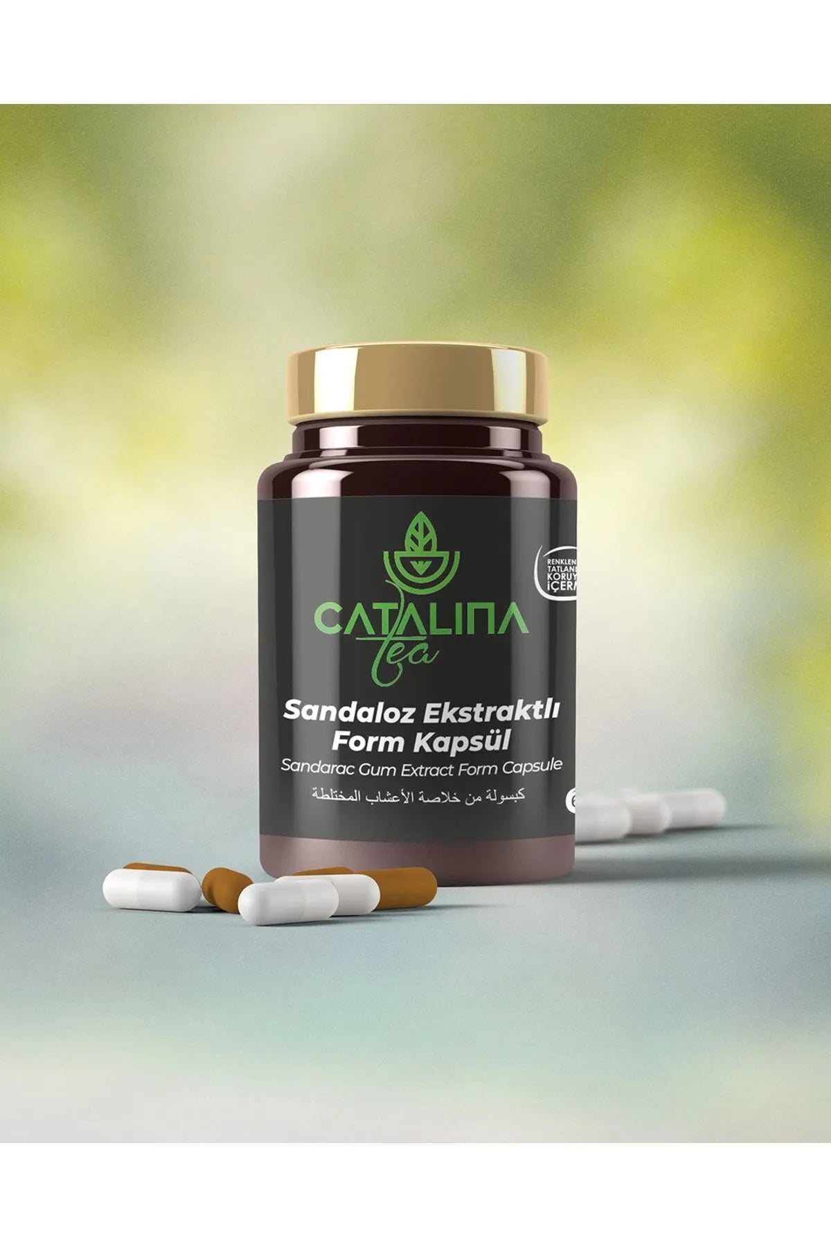 Catalina cápsula Día y Noche ✨Nuevo formato ✨entrega inmediata