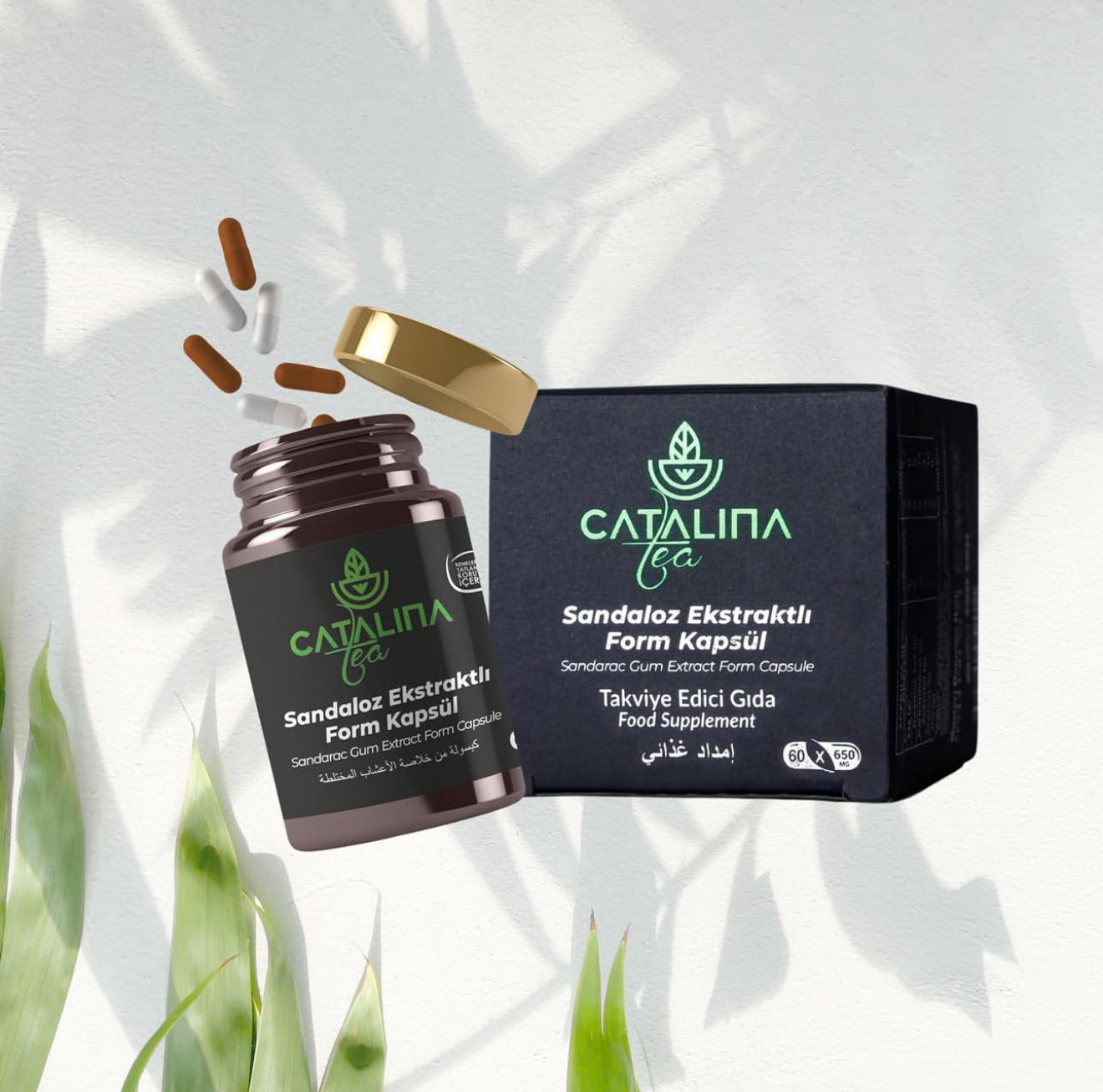 Catalina cápsula Día y Noche ✨Nuevo formato ✨entrega inmediata